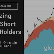The Essential Bitcoin On Chain Guide How To Analyze Long And Short Term Holders