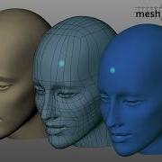 Mesh2Surface Overview