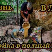 Жизнь в лесу Стройка в полный ход