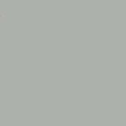 Polymorphic Datatype