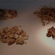 Experimental Characterization Of Biomass Powder Flow