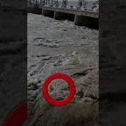 DANGEROUS WHIRPOOLS Shorts Whirlpool Flood Flood Dangerous Trending Scary Giant Disaster