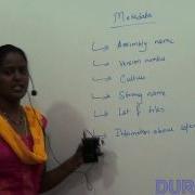 What Is Assembly Metadata Net