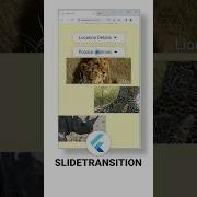 SlideTransition Flutter Tips