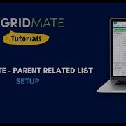 GridMate Parent RelatedList Grid Setup