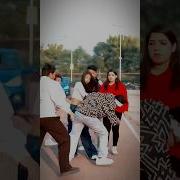 Humra Attitude Dekh Youtubeshort Rajjufam Shorts Youtube Chotanawab