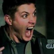 Kitten Scares The Hell Out Of Jensen Ackles Dean Winchester S04E06