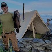 4 Days Alone In Alaska Bushcraft Camping Foraging Food