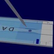 The Slide Based LiveCell Array See How It Works