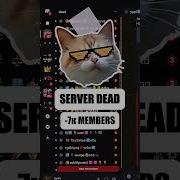 How To Raid Nuke A Discord Server Without Admin Nuke Bot Discord Raid Discordserver
