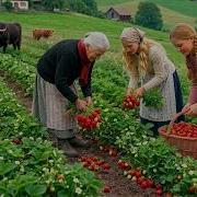 Peaceful Life In A Village At The Foot Of The Mountain Harvesting Strawberries Caring For Pets