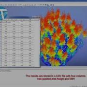 TLS Individual Tree Segmentation