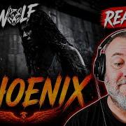 BEARWOLF PHEONIX Phoenix РЕАКЦИЯ