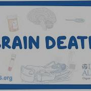 Donor Alliance Brain Death
