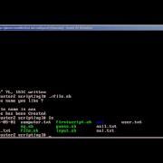 Bash Scripting Part III