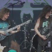 Vektor Cygnus Terminal Motocultor 2016