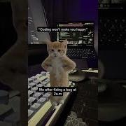 Coding Doesn T Make Me Happy This Does Coding Memes Funny Bug Shorts Youtubeshorts Viral
