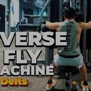 Reverse Fly Machine Why You NEED This Gym Tool