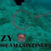The Dream Continues Dizzy Demo