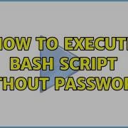 How To Execute Bash Script Without Password