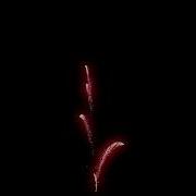 Particle Fireworks