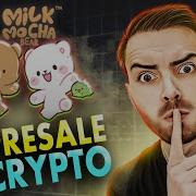 Как понять модель предварительной продажи криптовалюты в проекте Milk Mocha
