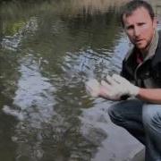 EDNA Sampling Method