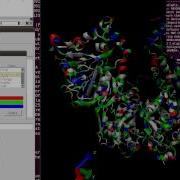VMD Tutorial
