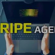 I Studied Stripe S AI Agents Vibe Coding Is Already Dead