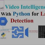 Video Label Detection Google Cloud Video Intelligence APIs For Label Detection With Python APIs
