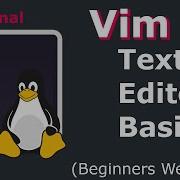 Vim Text Editor Basics How To Use Vim On Linux Mac Unix Beginners Guide On Ubuntu 20 04