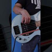 How To Find The Sweet Spot Bass Bassguitar