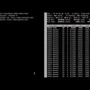 Testing Varnish Web Server Load Using Apache Benchmark Tool