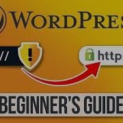 Avoid Google S Insecure Warning How To Move WordPress From HTTP To HTTPS