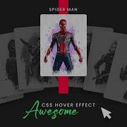 CSS Card Hover Effects HTML CSS
