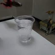 Engineering Materials 2565 1 Sec 001 802 Chapter 11 Heat Treatment Demonstration Final