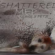 S3P MEP Shattered