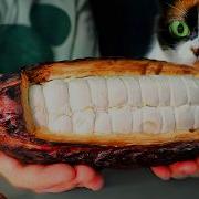 Я СДЕЛАЛ ШОКОЛАД С НУЛЯ