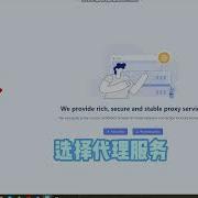 在MoreLogin指纹浏览器中配置StormProxies的动态IP教程