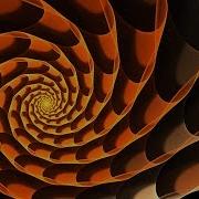 Spiral Dynamics Stage Orange