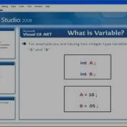 Learn C Sharp C Net Framework What Is A Variable