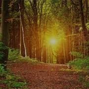 3 Hours Music No Loops Inner Peace Relaxing Soothing Music
