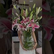 Love Lilies Lilies Fy Parati Lirios Shorts Flowers Florist Htx Blooms