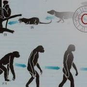 Станислав Дробышевский Теория эволюции Часть 1