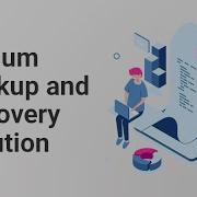 Flosum 100 Native Salesforce Backup And Recovery Solution