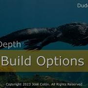Zig In Depth Build Options And Conditional Compilation