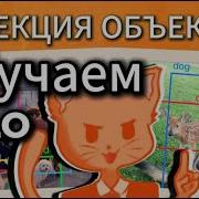 Детекция объектов с YOLO Полный гайд для новичков Теория кодинг