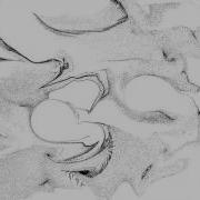 ParticleTest1