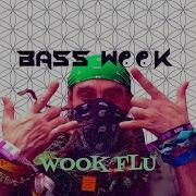 Wook Flu Interlude