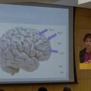 Mastering Intracranial Dynamics